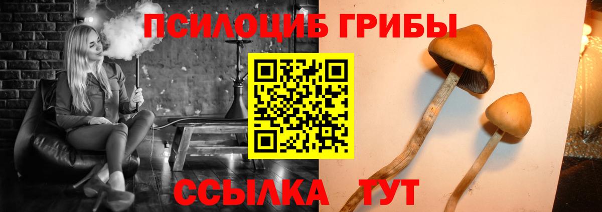 Псилоцибиновые грибы мицелий  Галлюциногенные грибы прущие грибы  Павловский Посад  Вход с VPN 